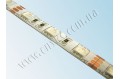 LED лента 5050/60 герметичная (IP65) standart